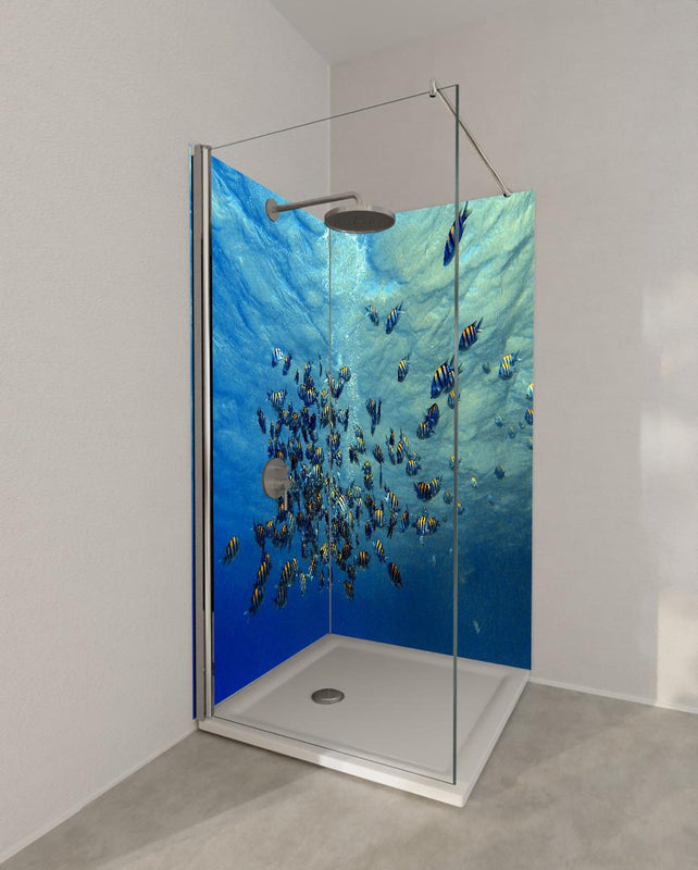 Duschrückwand - Fische im klarem Meer