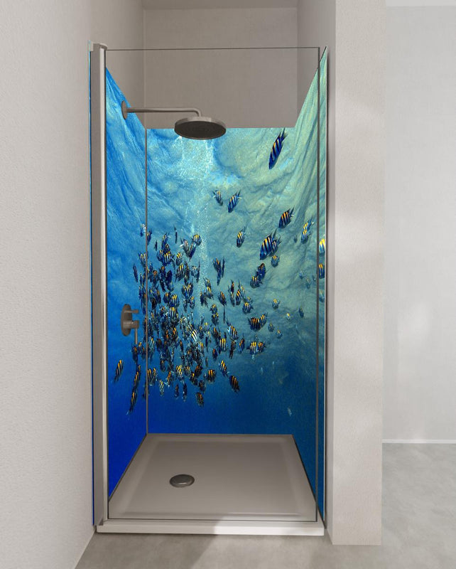 Duschrückwand - Fische im klarem Meer