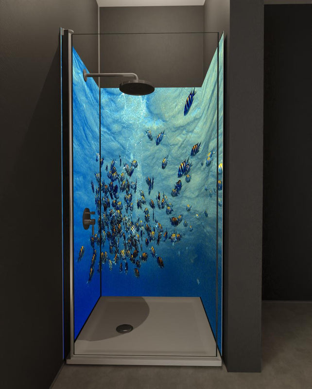 Duschrückwand - Fische im klarem Meer