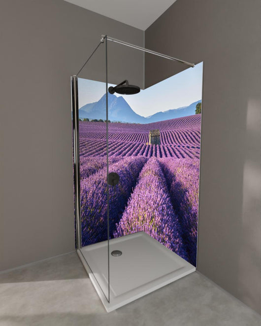 Duschrückwand - Lavendelfelder auf dem Plateau de Valensole