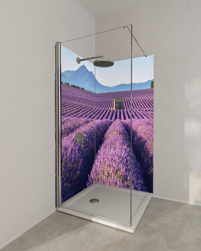 Duschrückwand - Lavendelfelder auf dem Plateau de Valensole