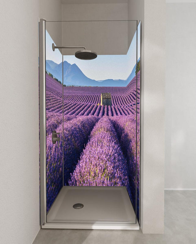 Duschrückwand - Lavendelfelder auf dem Plateau de Valensole