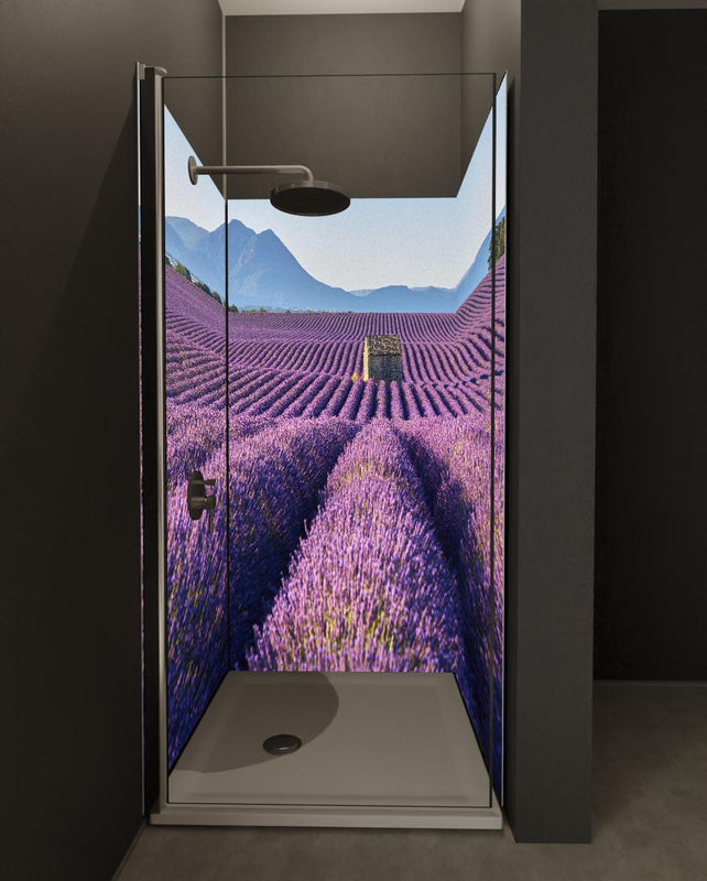 Duschrückwand - Lavendelfelder auf dem Plateau de Valensole