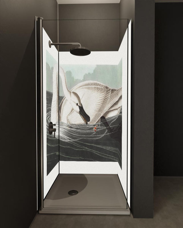 Duschrückwand - Schneeweißer Schwan - John James Audubon