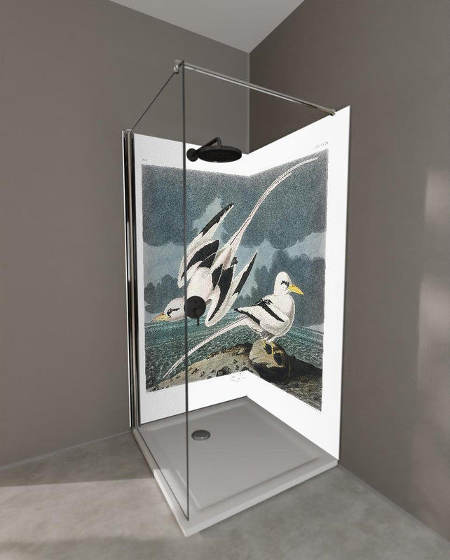 Duschrückwand - Tropische Vögel - John James Audubon
