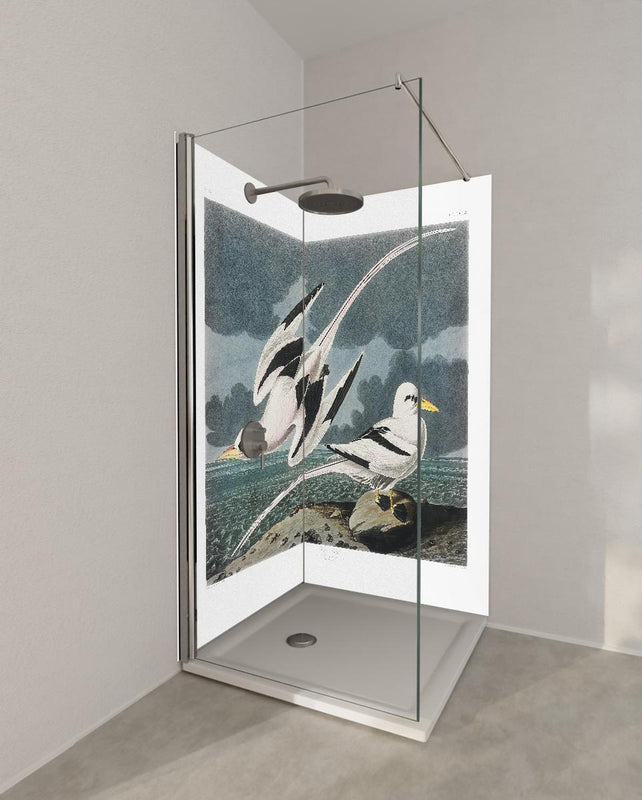 Duschrückwand - Tropische Vögel - John James Audubon