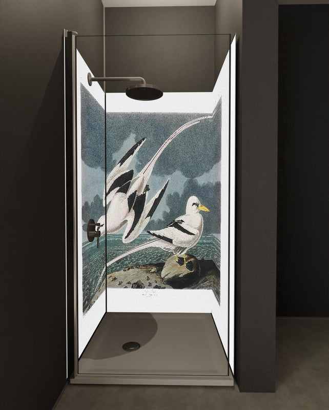 Duschrückwand - Tropische Vögel - John James Audubon