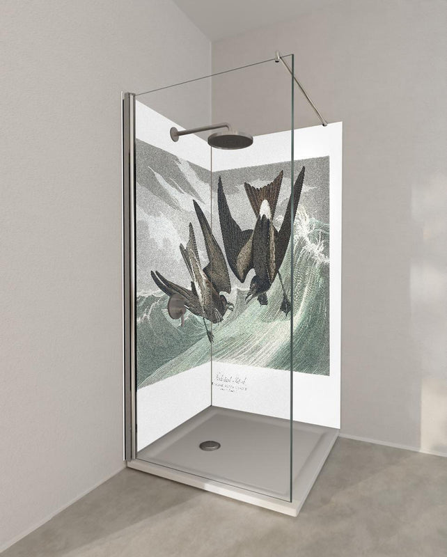 Duschrückwand - Vögel mitten im Meer - Robert Havell
