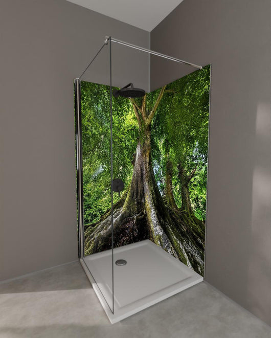 Duschrückwand - großer alter Baum in Froschperspektive
