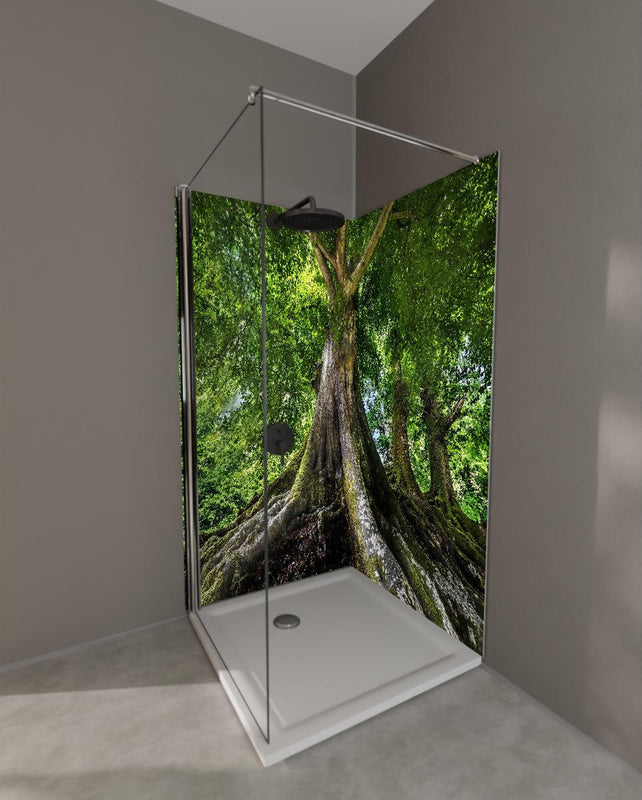 Duschrückwand - großer alter Baum in Froschperspektive