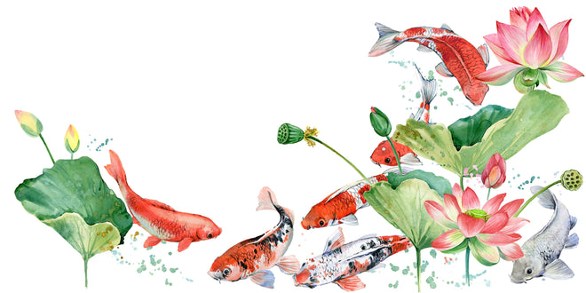 Küchenrückwand - Aquarell Koi Karpfen und Lotusblume