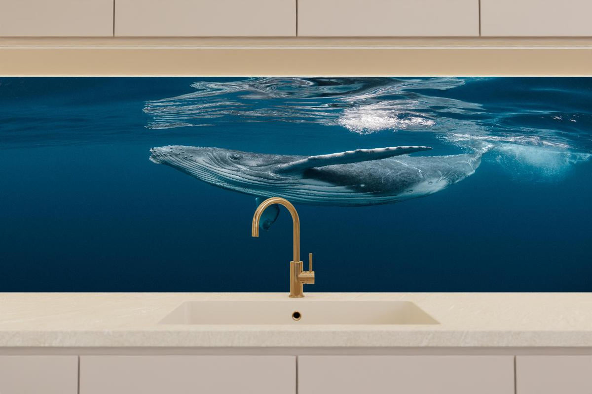 Küchenrückwand - Buckelbaby - nähe Wasseroberfläche