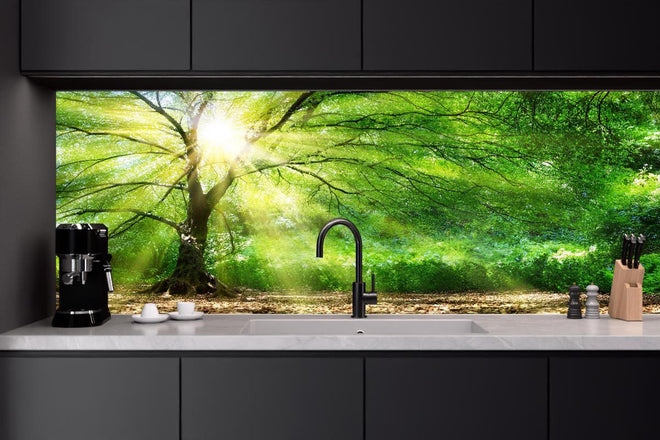 Küchenrückwand - Energiegeladener Wald