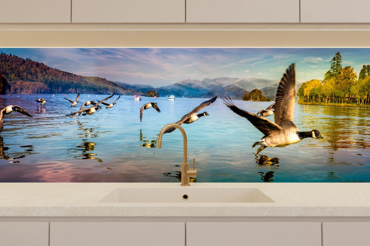 Küchenrückwand - Entenschwarm am Lake Windermere
