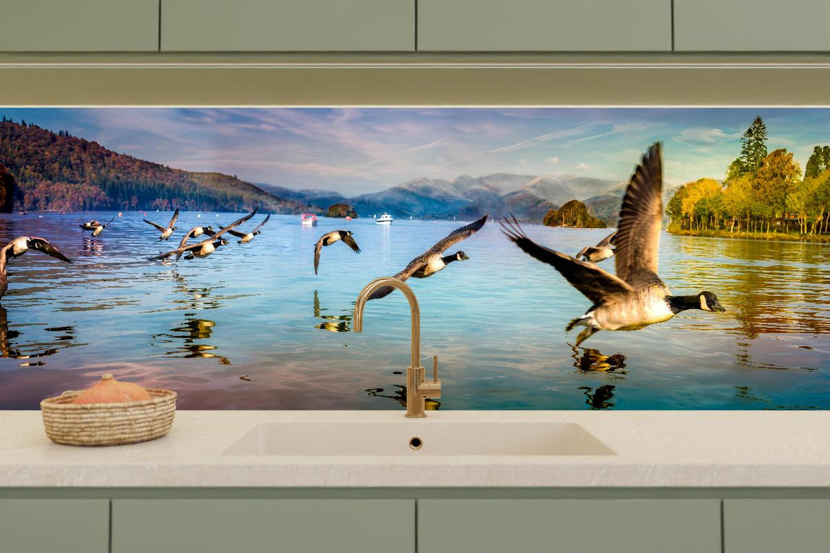 Küchenrückwand - Entenschwarm am Lake Windermere