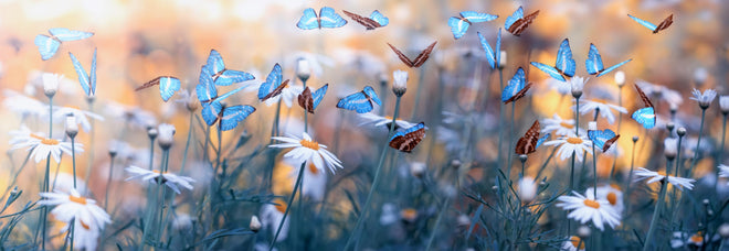 Küchenrückwand - Frühling Naturlandschaft mit wilden Blumen