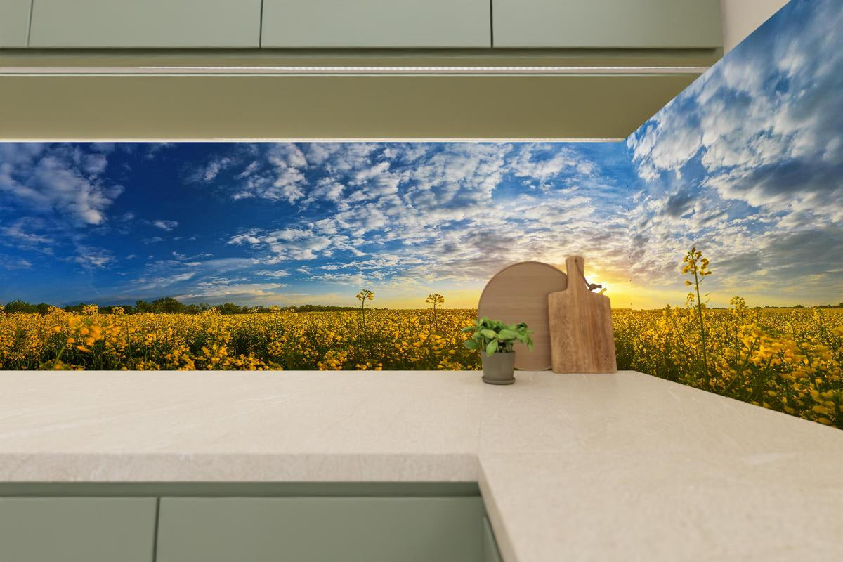 Küchenrückwand - Gelbliches Blumenfeld am Morgen