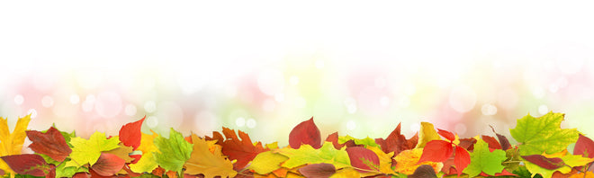 Küchenrückwand - Herbst Fantasie