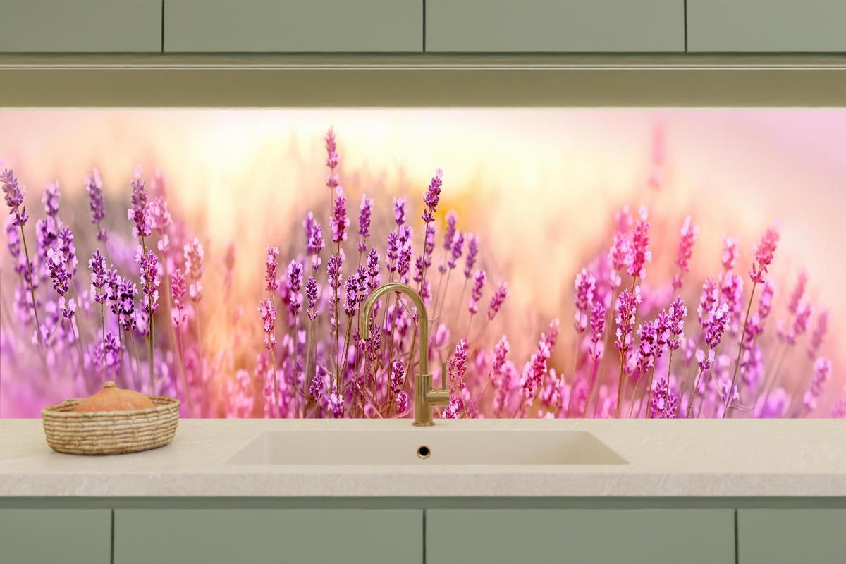 Küchenrückwand - Weicher und selektiver Fokus auf Lavendelblüte