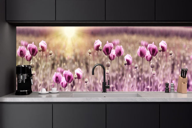 Küchenrückwand - Lila Mohnblume