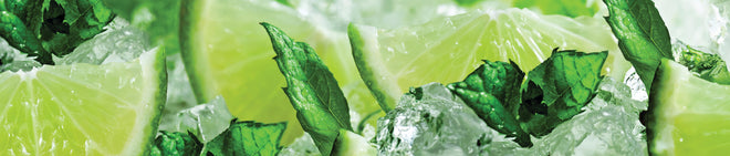 Küchenrückwand - Limette und Minzblätter mit Eis