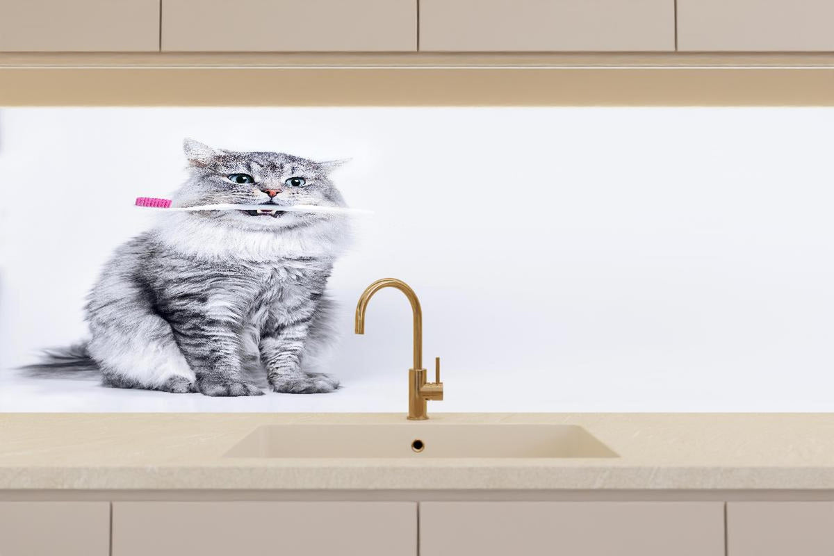 Küchenrückwand - Lustige Katze mit Zahnbürste