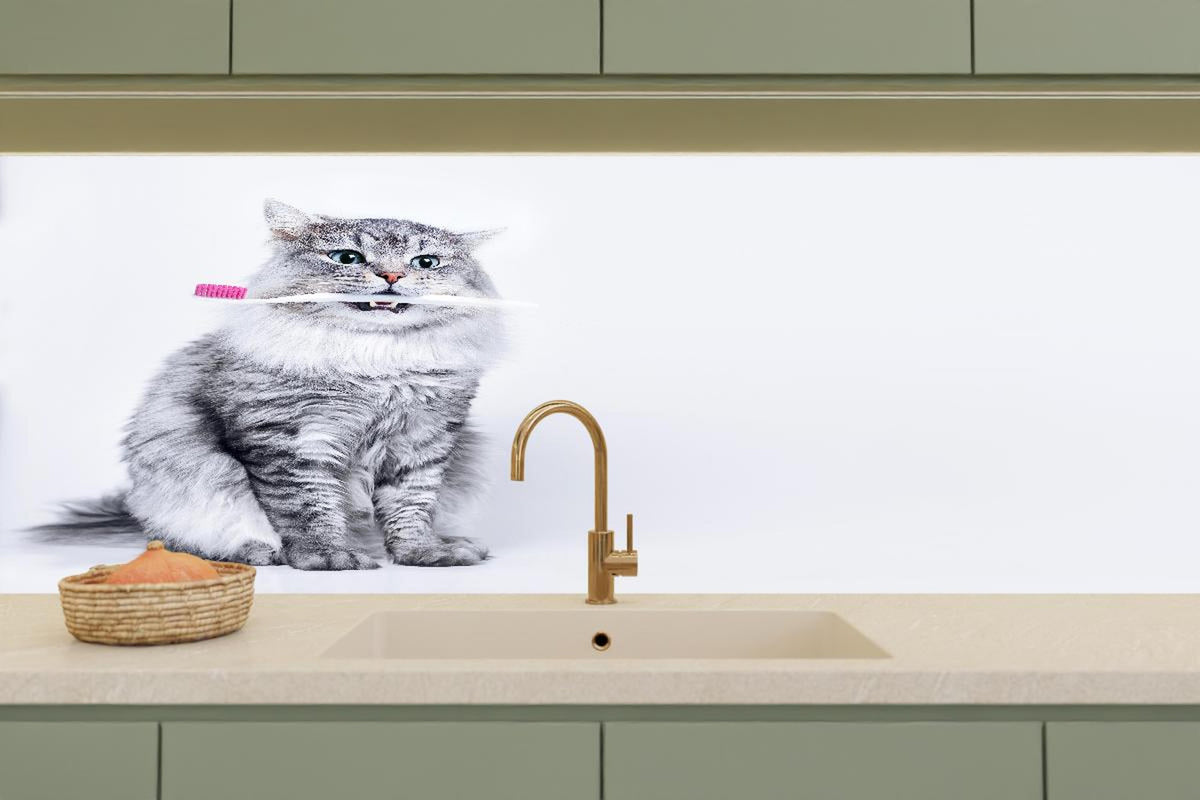 Küchenrückwand - Lustige Katze mit Zahnbürste