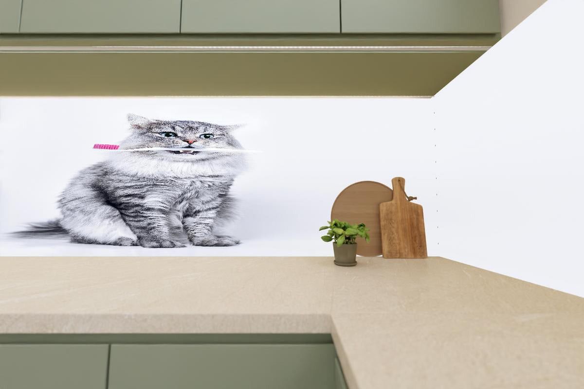 Küchenrückwand - Lustige Katze mit Zahnbürste