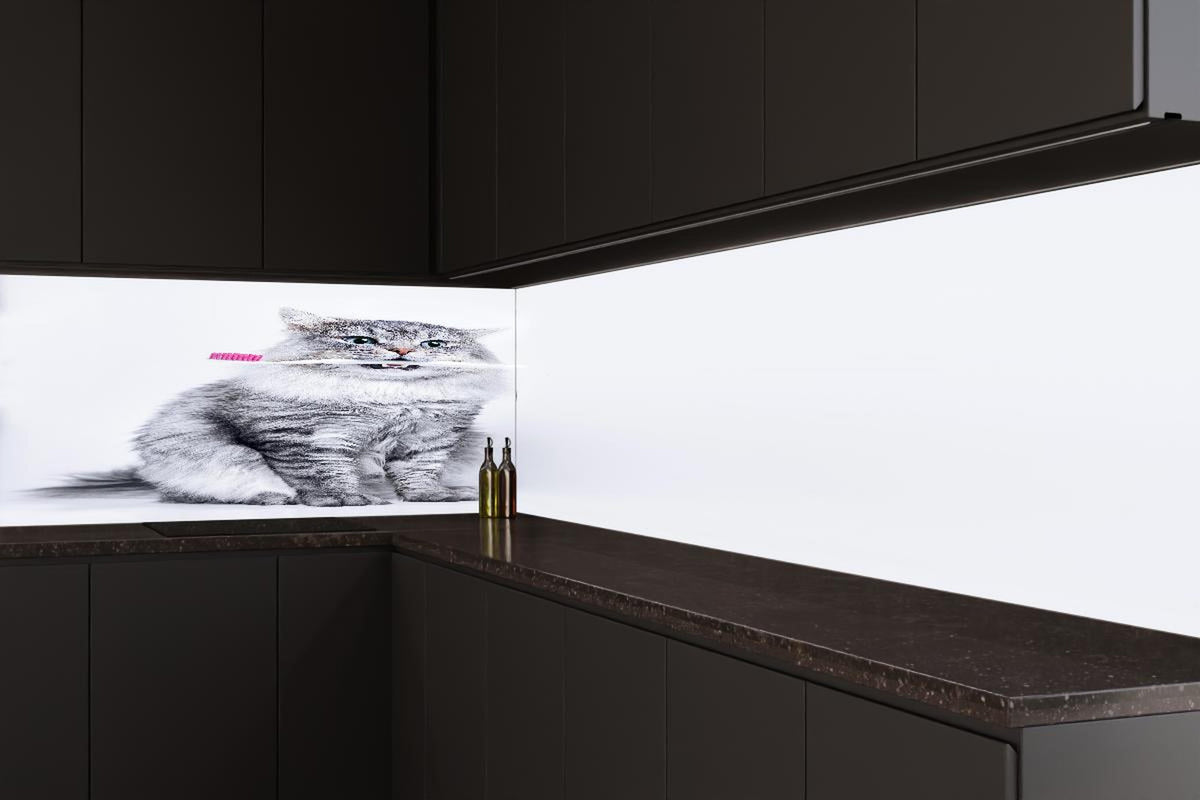 Küchenrückwand - Lustige Katze mit Zahnbürste