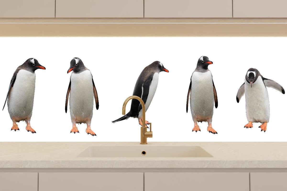 Küchenrückwand - Pinguine auf weißem Hintergrund