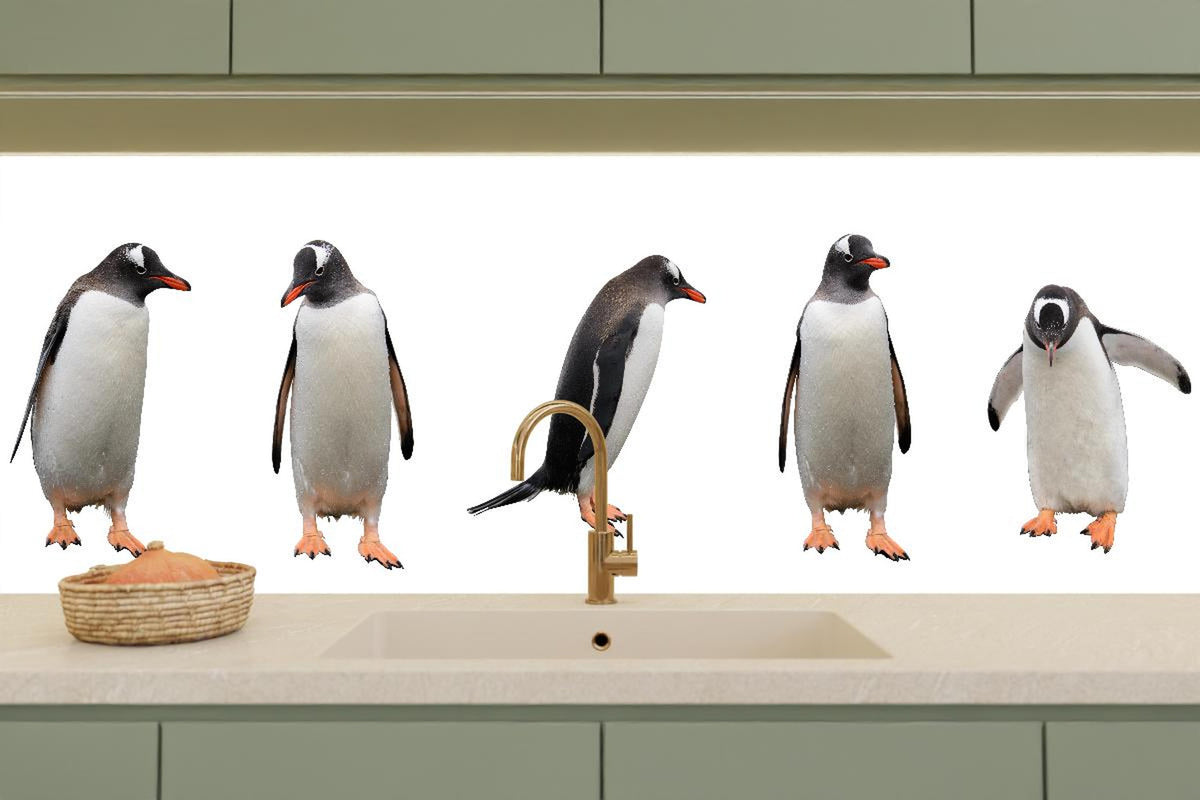 Küchenrückwand - Pinguine auf weißem Hintergrund