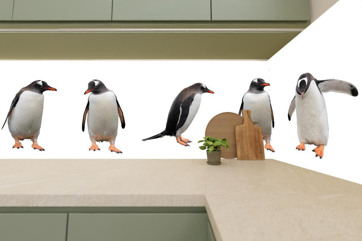 Küchenrückwand - Pinguine auf weißem Hintergrund