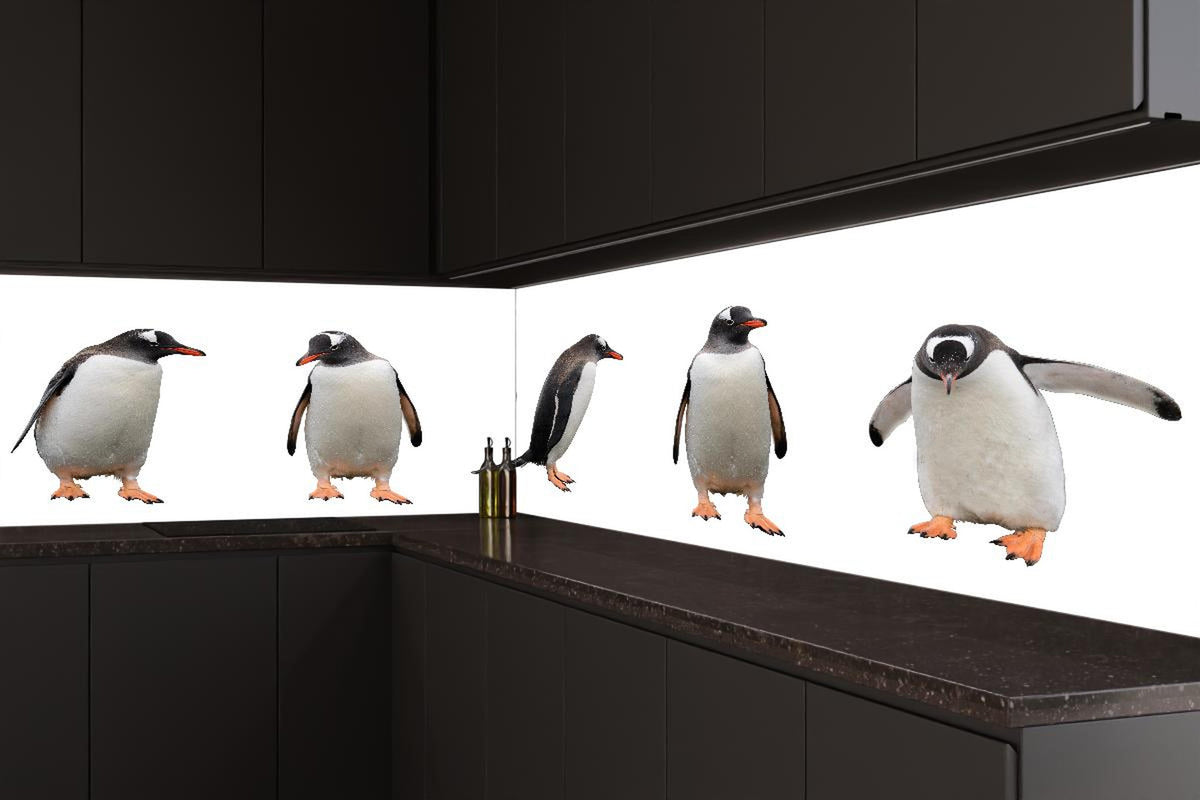 Küchenrückwand - Pinguine auf weißem Hintergrund