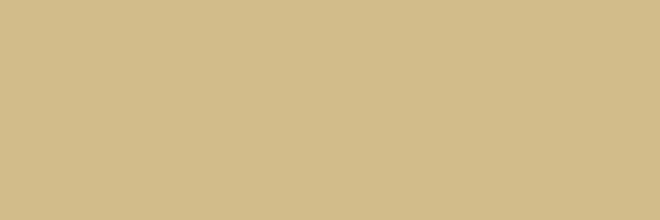 Küchenrückwand - RAL 1001 (Beige)
