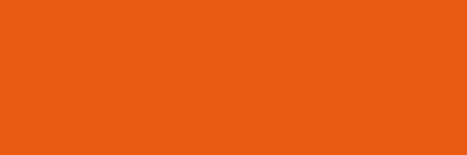 Küchenrückwand - RAL 2004 (Reines Orange)