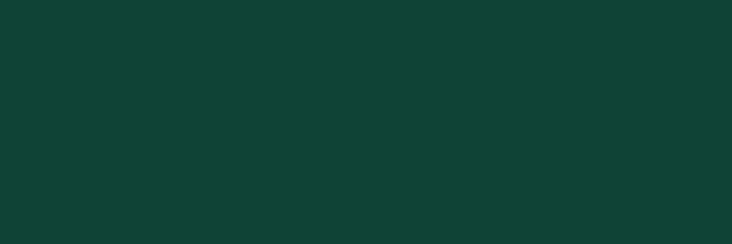 Küchenrückwand - RAL 6005 (Moosgrün)