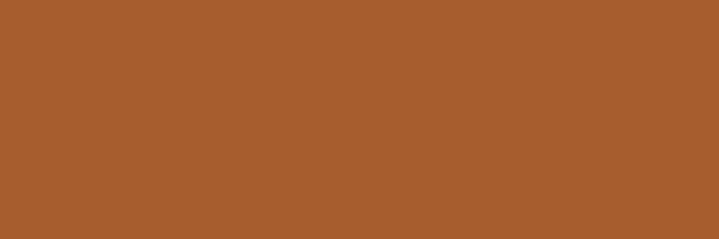 Küchenrückwand - RAL 8023 (Orangebraun)
