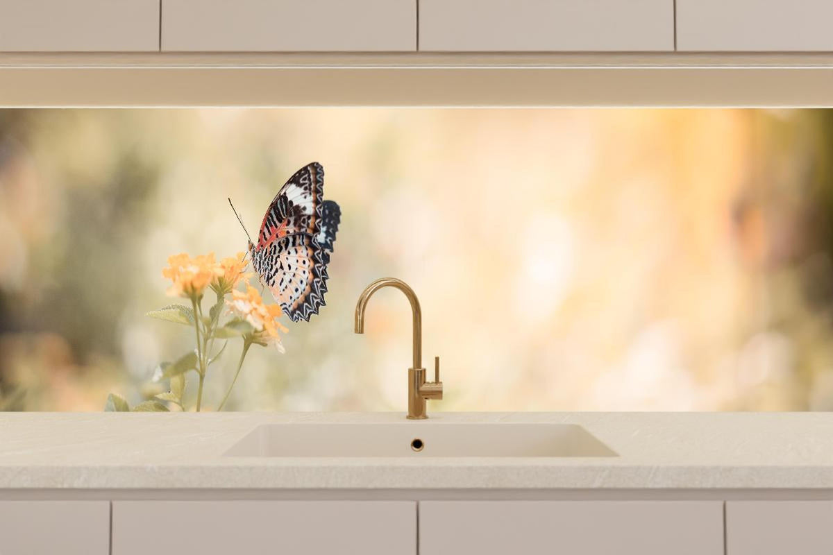 Küchenrückwand - Schmetterling auf eine orangene Blume