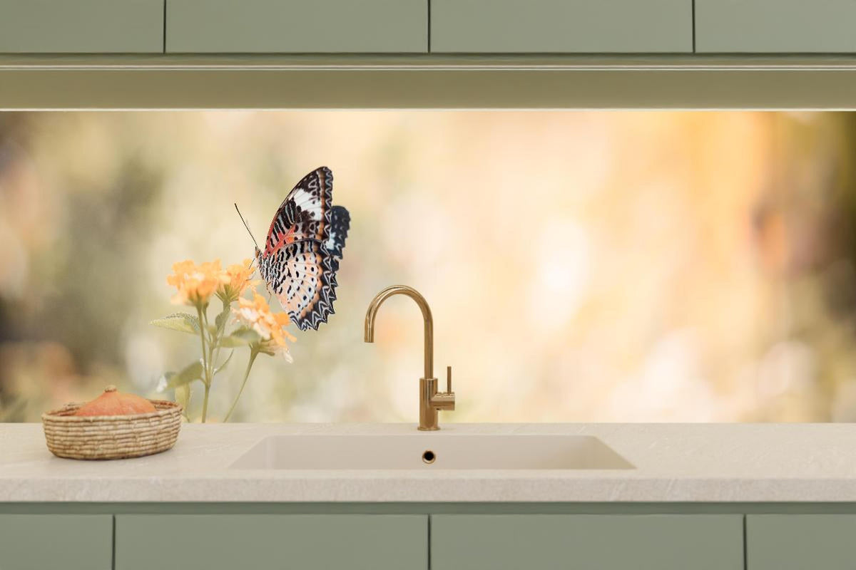 Küchenrückwand - Schmetterling auf eine orangene Blume