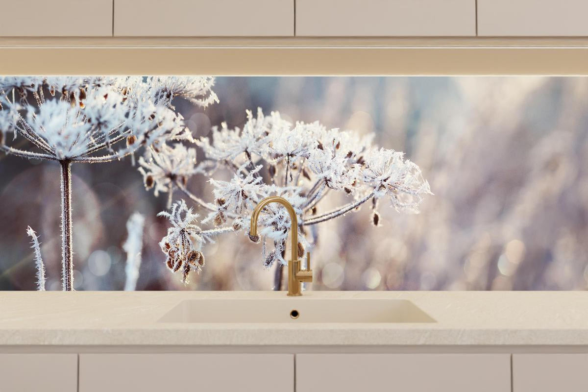 Küchenrückwand - Schneetau auf Pflanzen