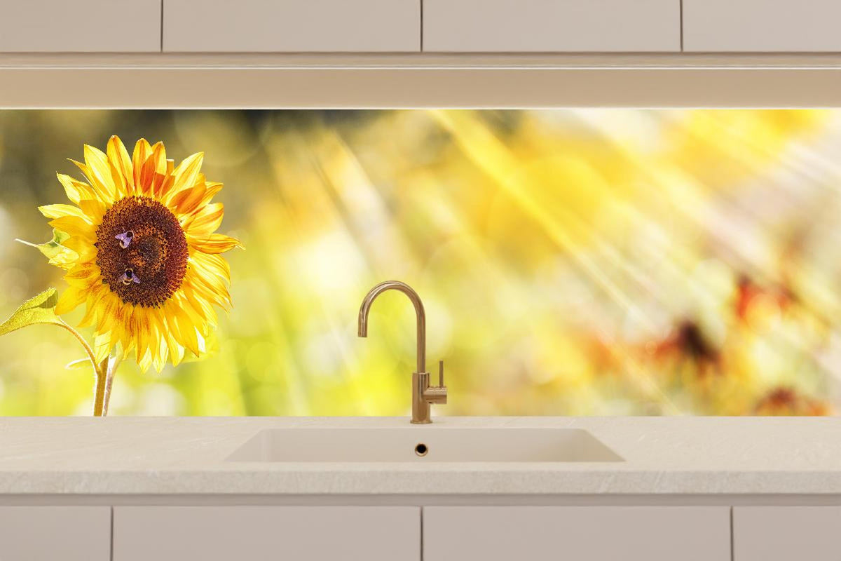 Küchenrückwand - Sonnenblume