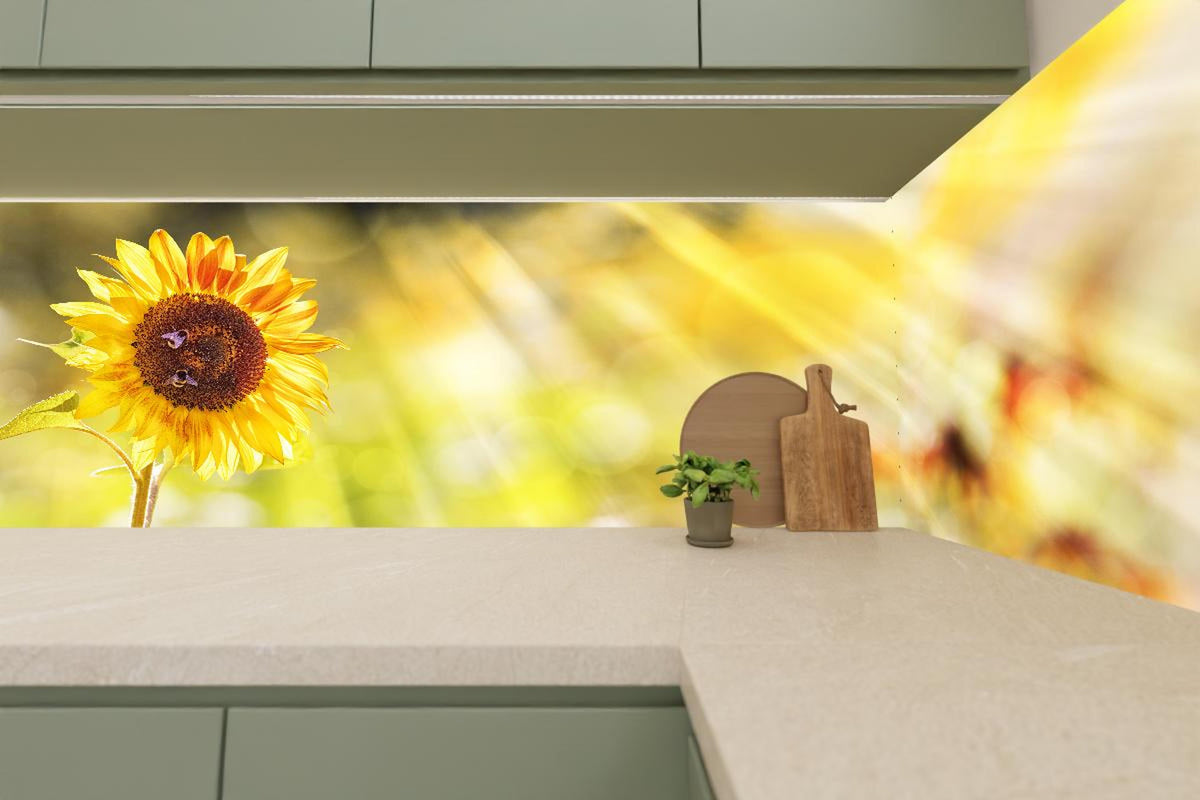 Küchenrückwand - Sonnenblume