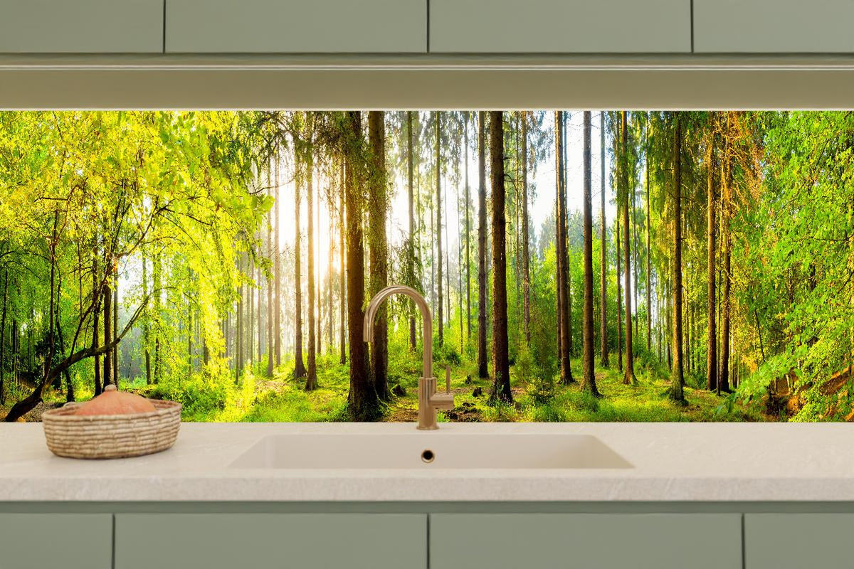 Küchenrückwand - Sonnenlicht durchfluteter Wald Leinwandbild