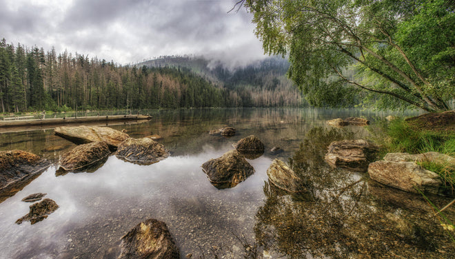 Küchenrückwand - Sumava - Schwarzer See - Tschechische Republik