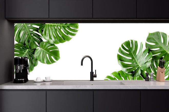 Küchenrückwand - Tropische Palmenblätter auf weißem Hintergrund