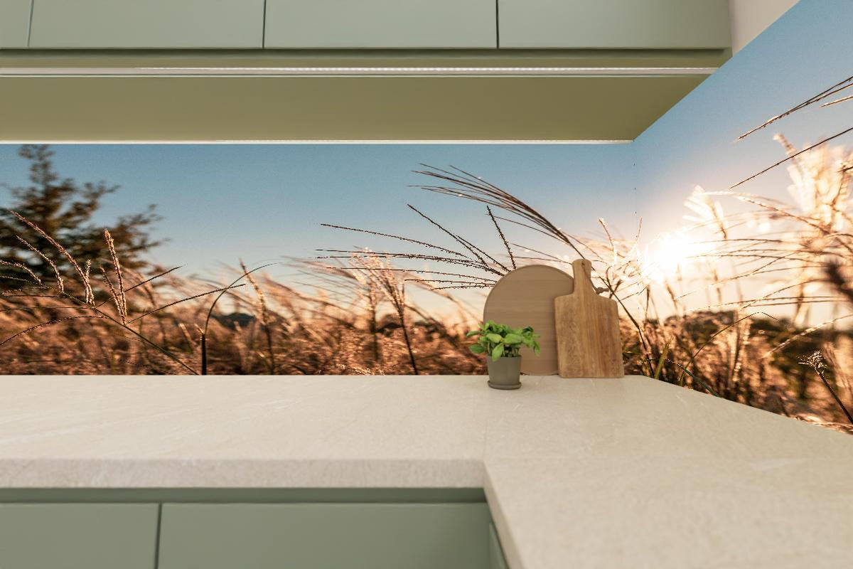 Küchenrückwand - Weizenfeld in der Sonne