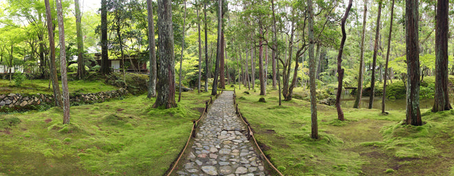 Küchenrückwand - Wunderschöner Moosgarten in Kyoto