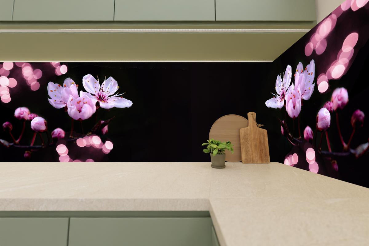 Küchenrückwand - Zarte Rosa Kirschblüten beleuchtet in Dunkelheit