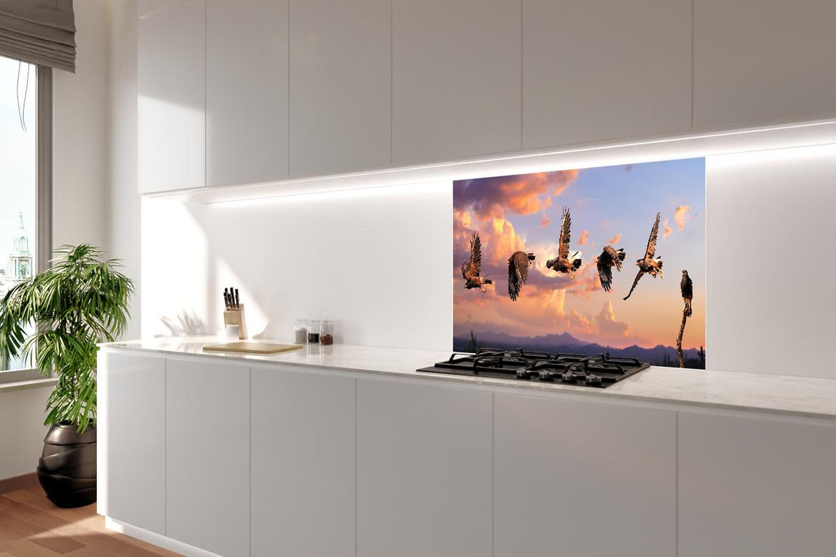 Spritzschutz - Harris Hawk Flug gegen blauen Himmel
