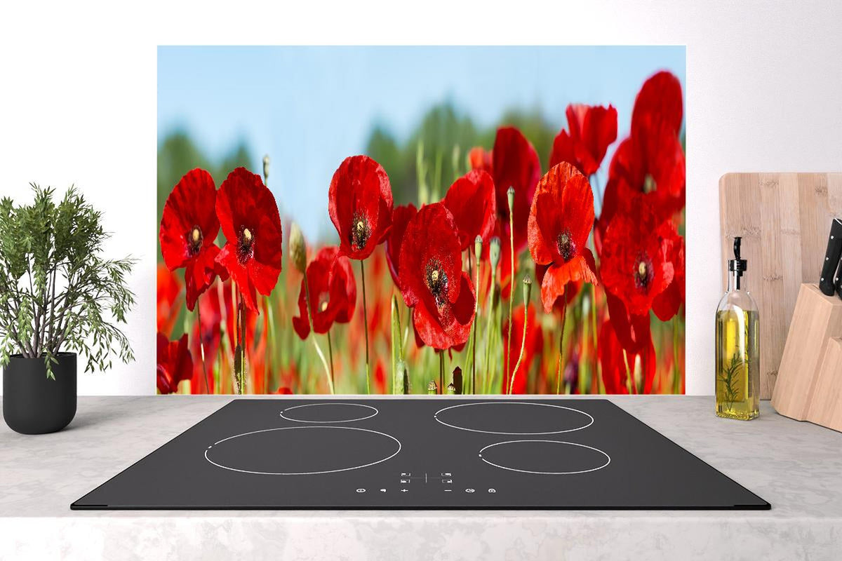 Spritzschutz - Rote Mohnblumen auf einem Feld